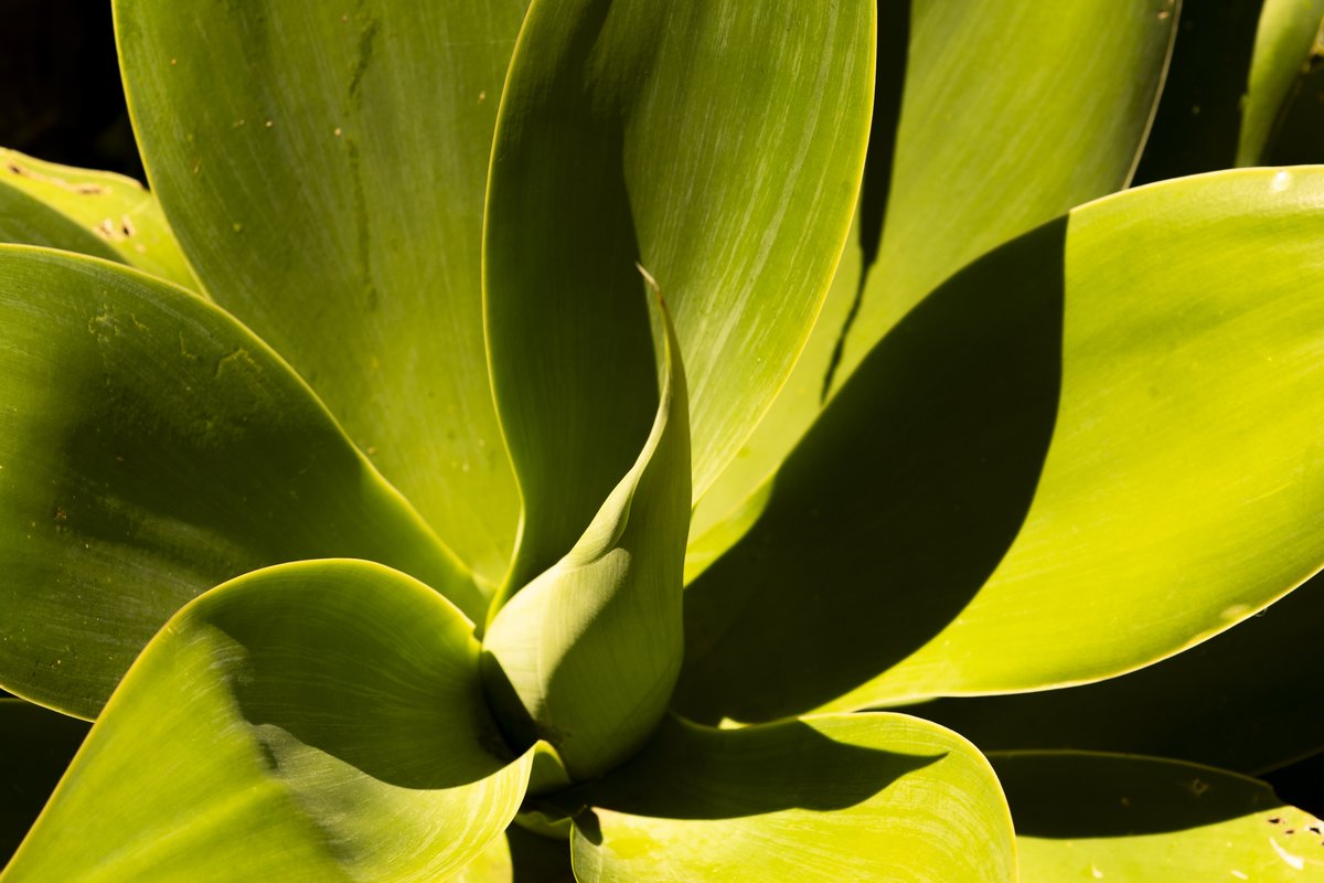 WOT Social Ericeira Surf Hostel - Common Areas Exterior 2025 0038